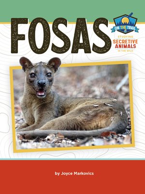 cover image of Fosas